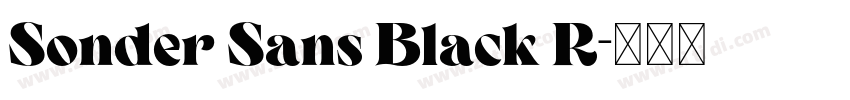 Sonder Sans Black R字体转换 Sonder Sans Black R字体转换